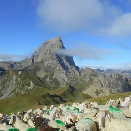 Apartament Vue Sur Montagnes *