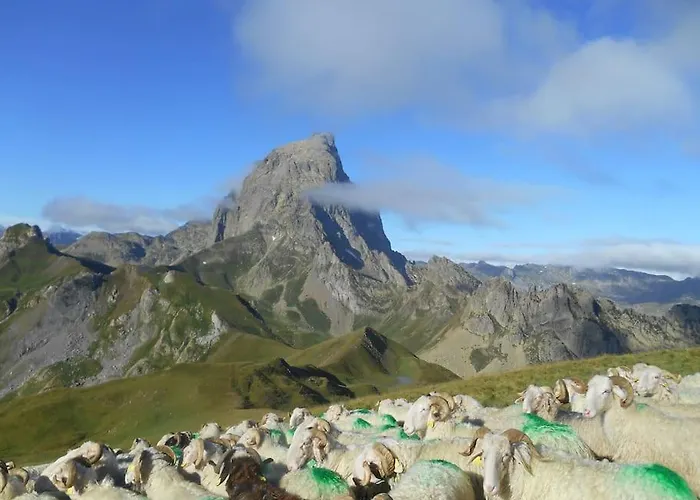 Apartman Lumineux Departs De Randonnees *